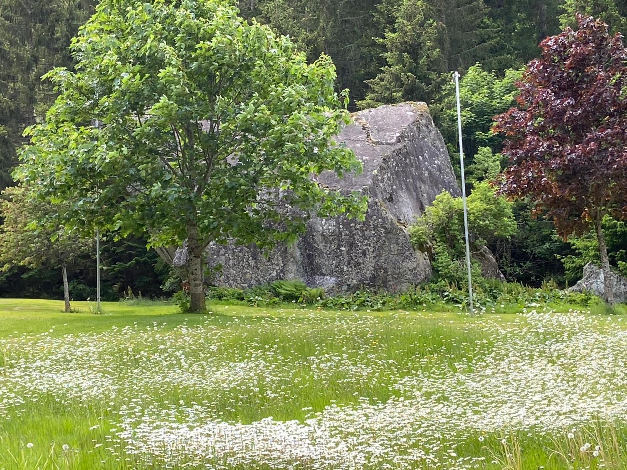 Haus Am Rain Bed & Breakfast Partenen Exterior photo